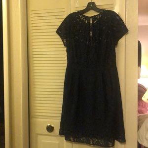 J. Crew Lace Dress